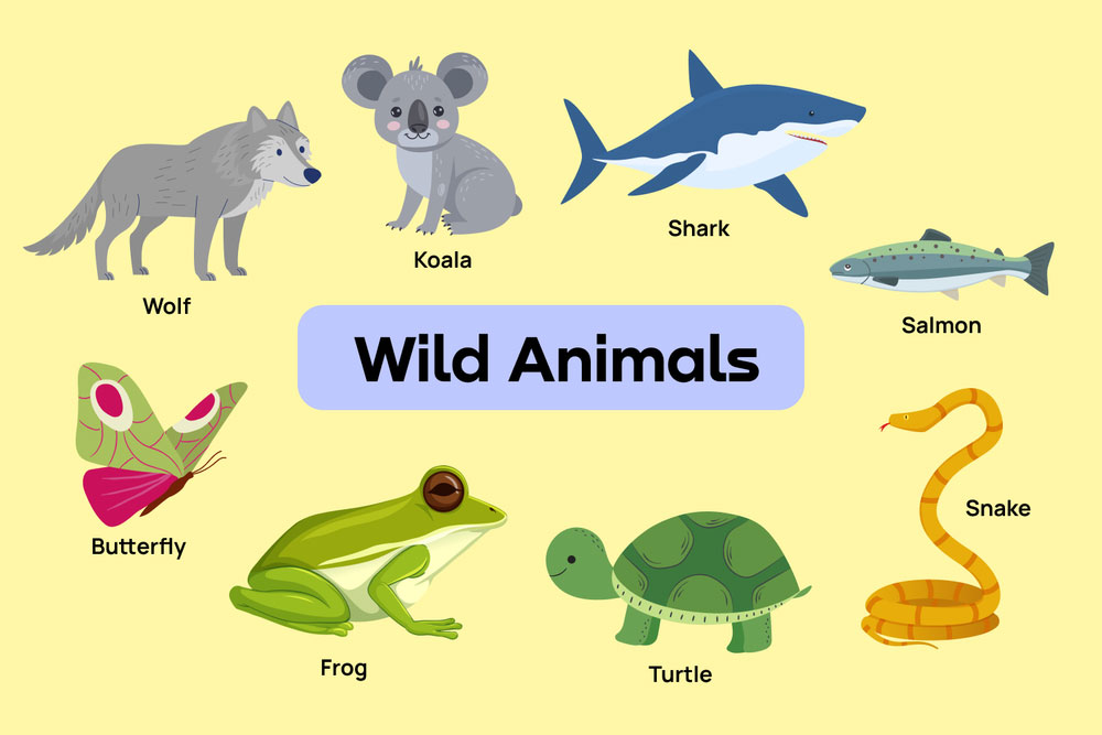 حیوانات وحشی یا wild animals