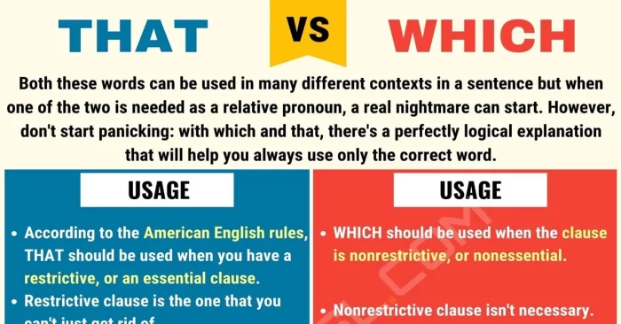 آموزش گرامر which و مقایسه آن با that (و موارد کاربرد هر کدام)
