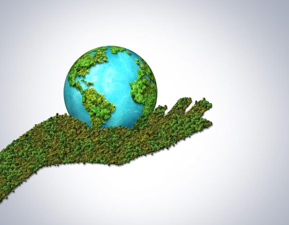 15 تا از رایج‌ترین اصطلاحات محیط‌ زیست - معنی و کاربرد آن‌ها
