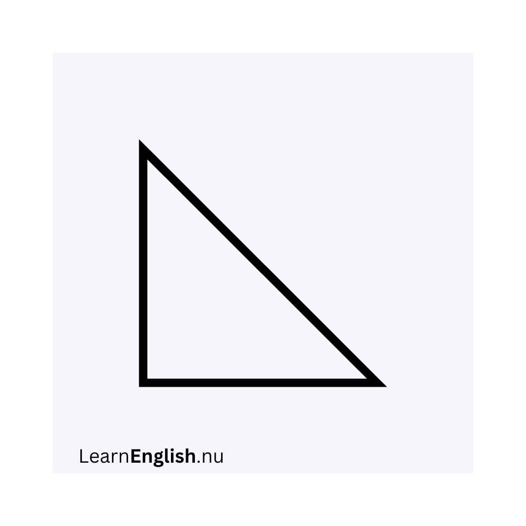 right triangle /raɪt ˈtraɪæŋɡəl/